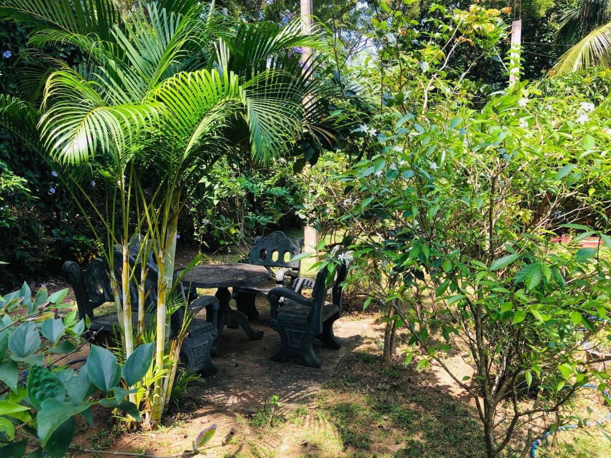 Sigiriya Nature Villa Lodge Ngoại thất bức ảnh