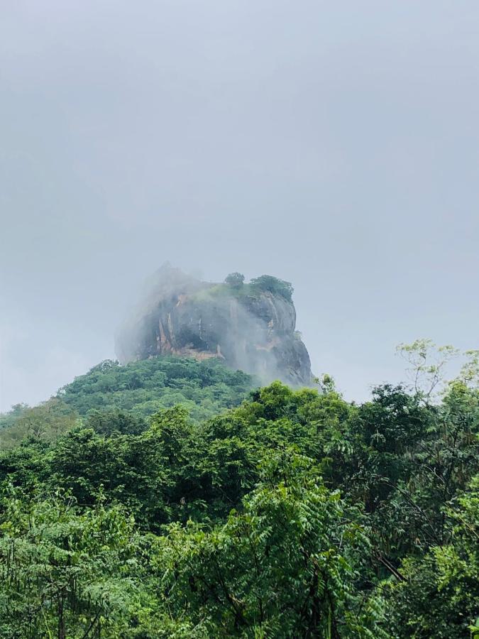 Sigiriya Nature Villa Lodge Ngoại thất bức ảnh
