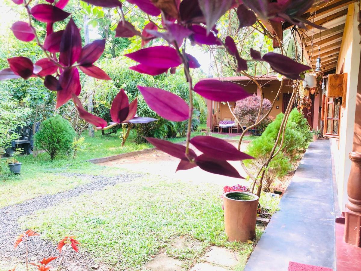 Sigiriya Nature Villa Lodge Ngoại thất bức ảnh
