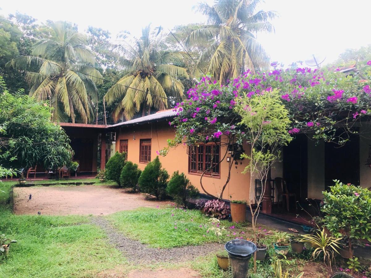 Sigiriya Nature Villa Lodge Ngoại thất bức ảnh