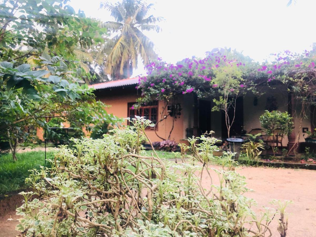 Sigiriya Nature Villa Lodge Ngoại thất bức ảnh