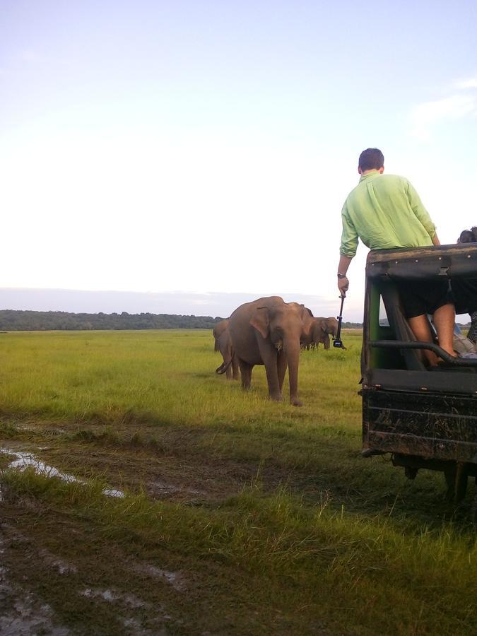 Sigiriya Nature Villa Lodge Ngoại thất bức ảnh