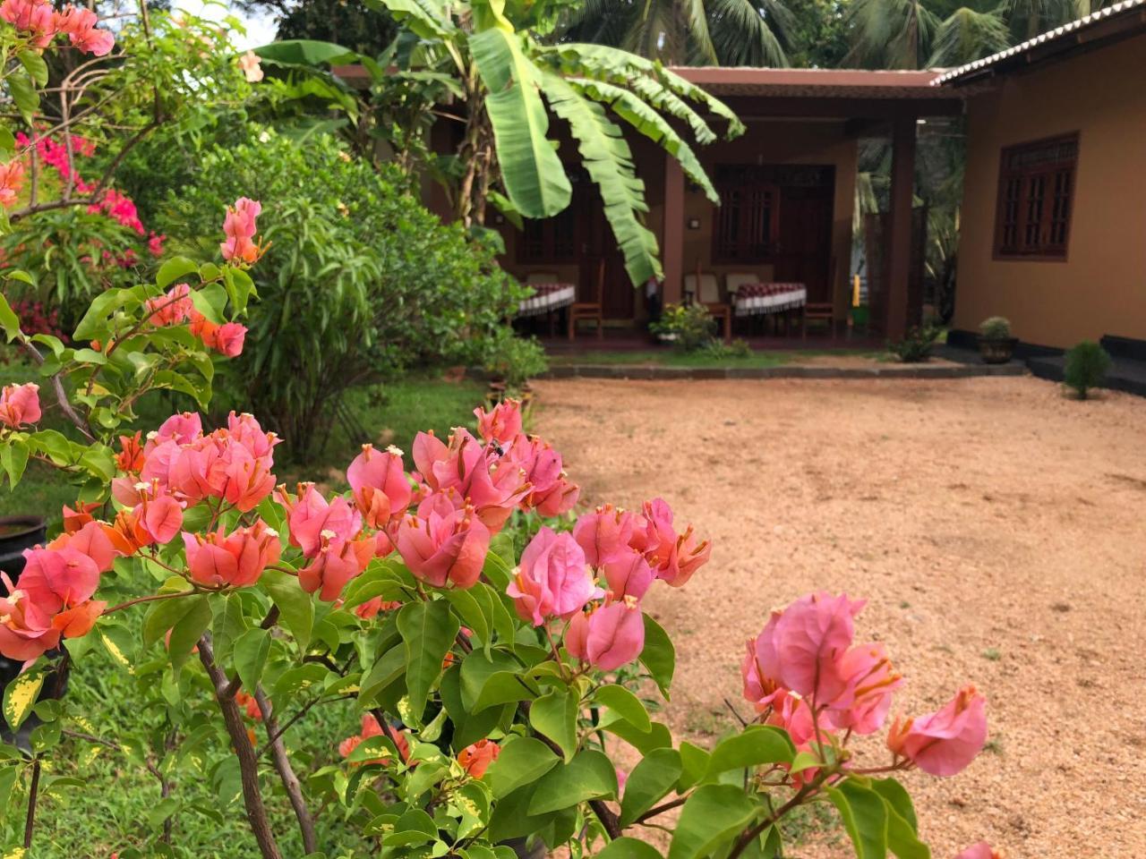 Sigiriya Nature Villa Lodge Ngoại thất bức ảnh