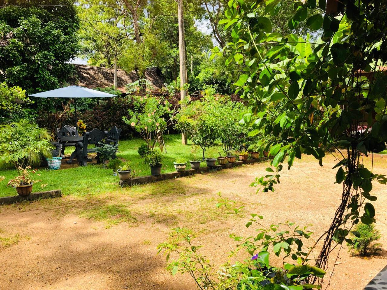 Sigiriya Nature Villa Lodge Ngoại thất bức ảnh