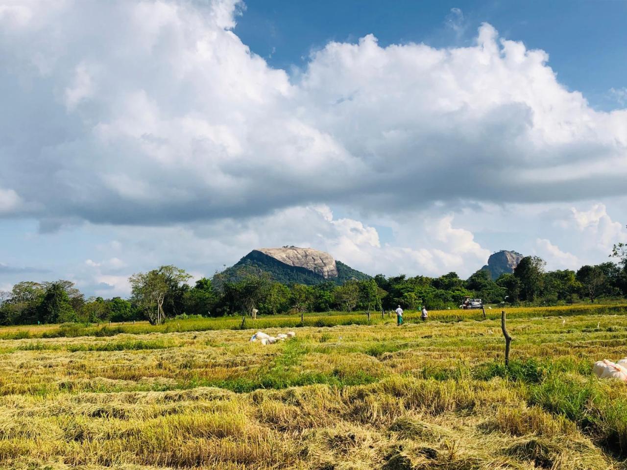 Sigiriya Nature Villa Lodge Ngoại thất bức ảnh