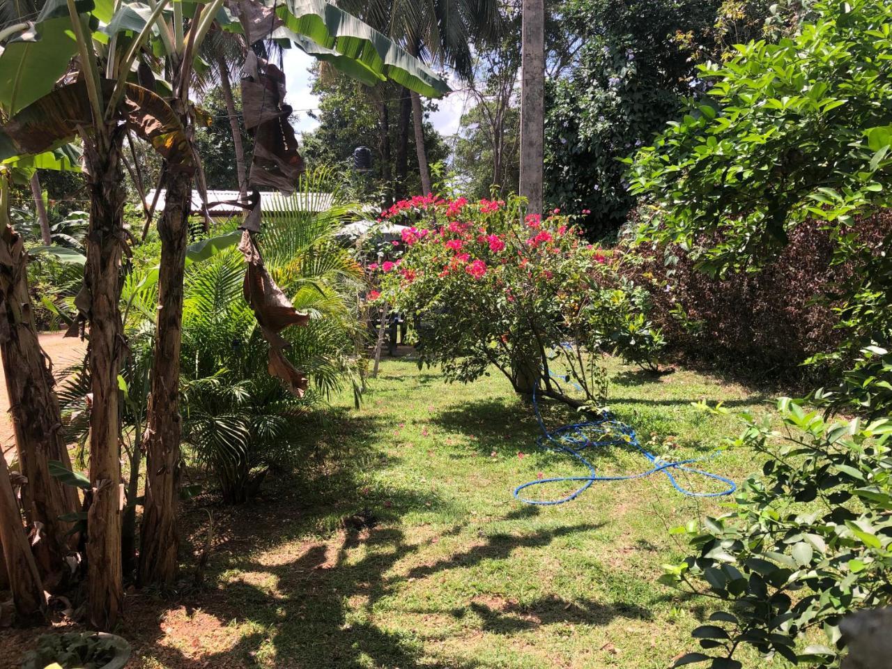 Sigiriya Nature Villa Lodge Ngoại thất bức ảnh