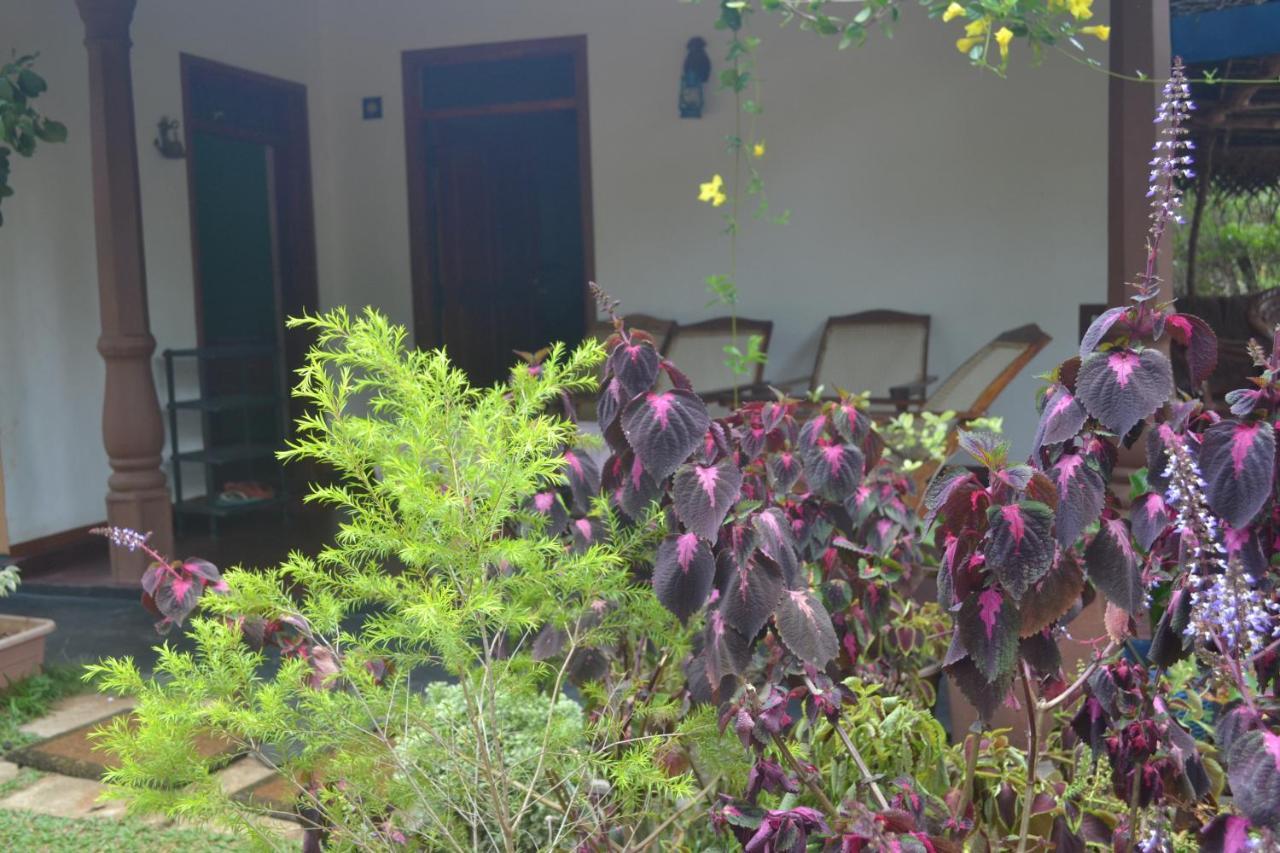 Sigiriya Nature Villa Lodge Ngoại thất bức ảnh